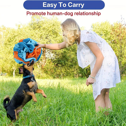 Interactive Dog Snuffle Ball