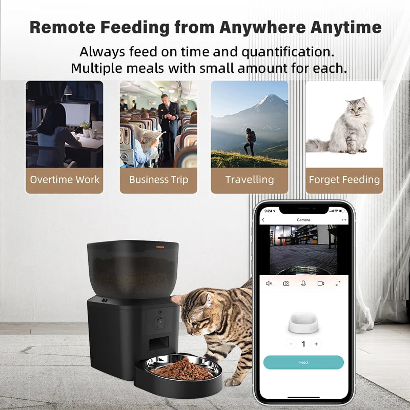 Smart Feeding, Peace of Mind – Wherever You Are