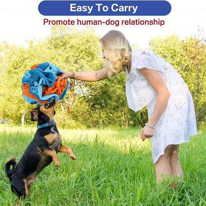 Interactive Dog Snuffle Ball